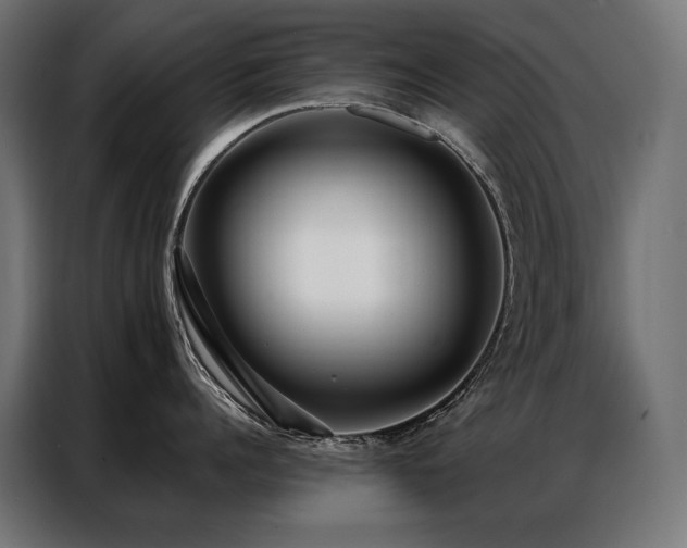 X0000086980960200704161446