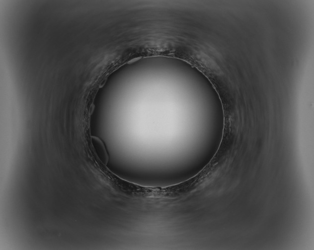 X0000086980961200704161445