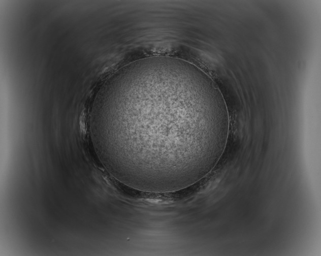 X0000086980962200704161445