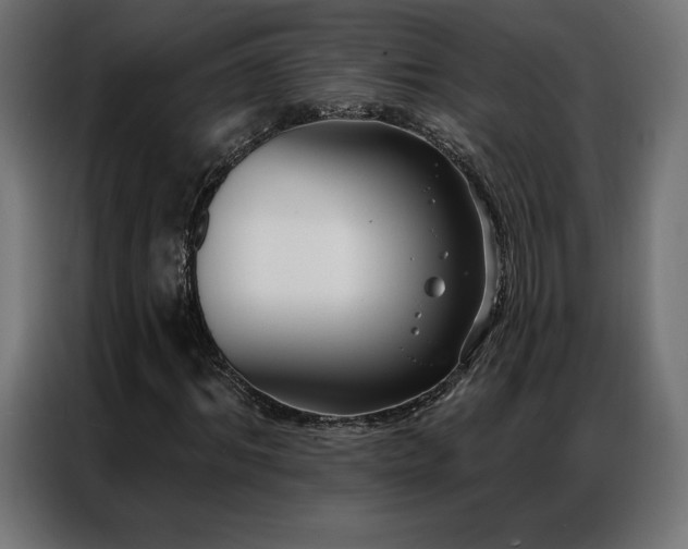 X0000086980964200704161445