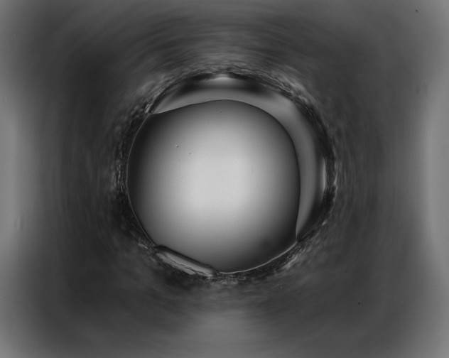 X0000086980965200704161445