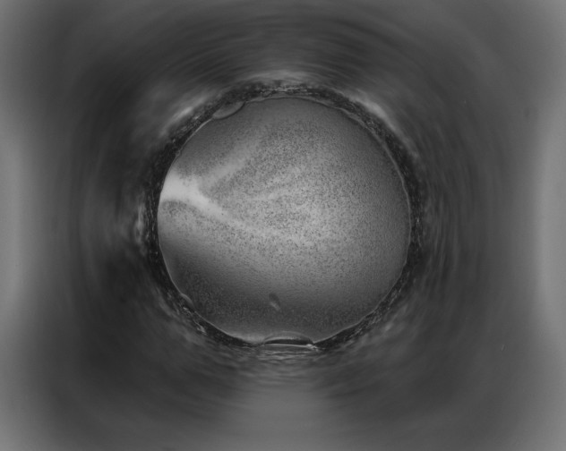 X0000086980967200704161445