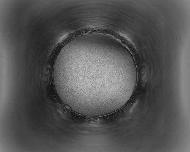 X0000086980968200704161445