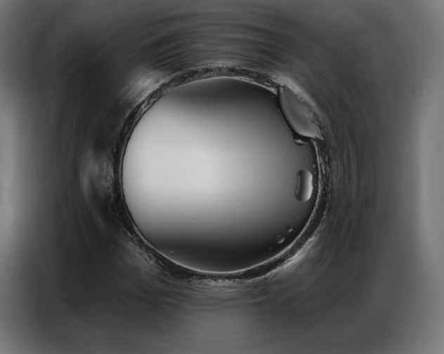 X0000086980969200704161445
