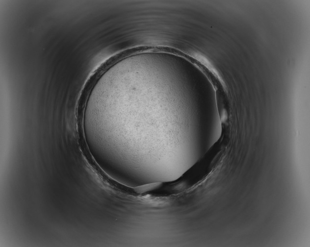 X0000086980972200704161445