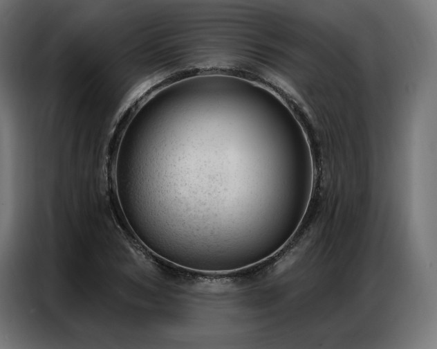 X0000086980978200704161445
