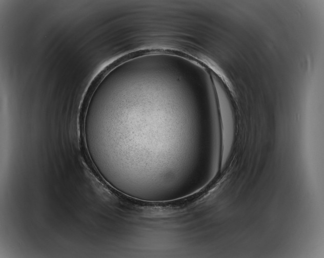 X0000086980980200704161445