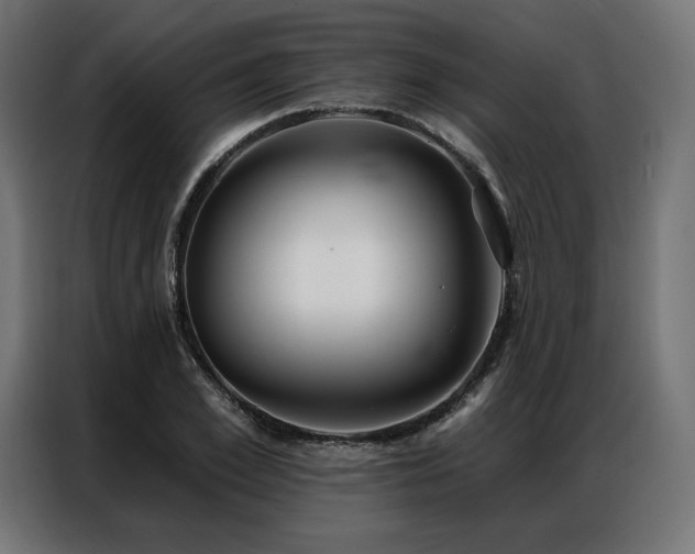 X0000086980981200704161445