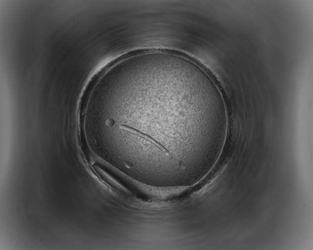 X0000086980982200704161445