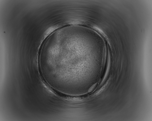 X0000086980986200704161445