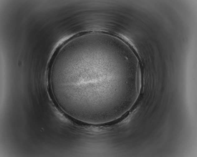 X0000086980987200704161445