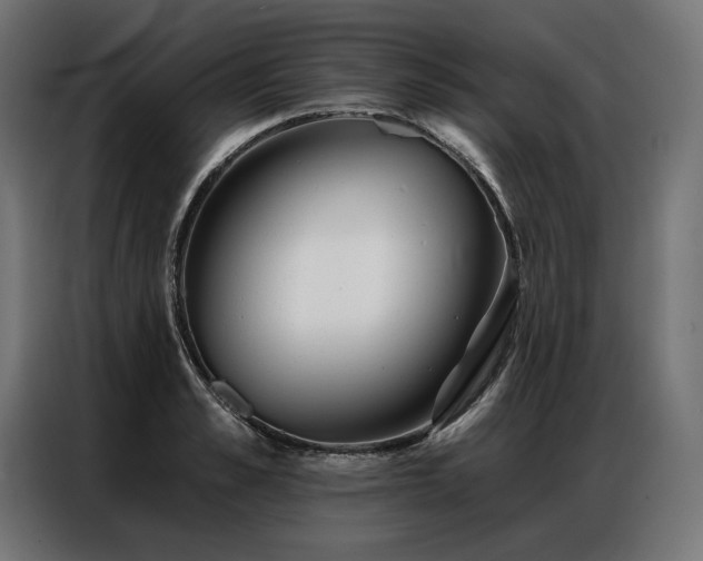 X0000086980989200704161445