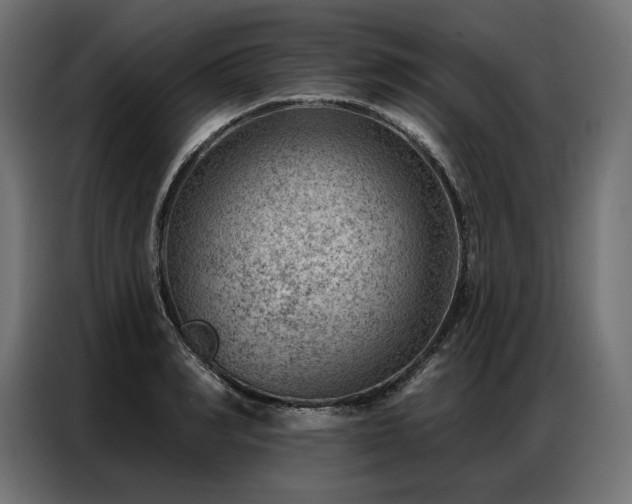 X0000086980990200704161445
