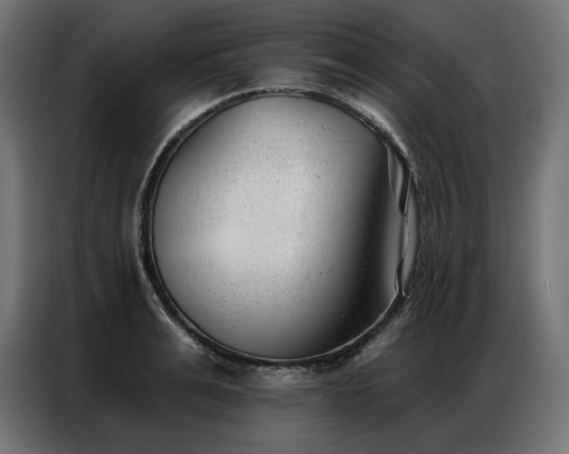 X0000086980991200704161445