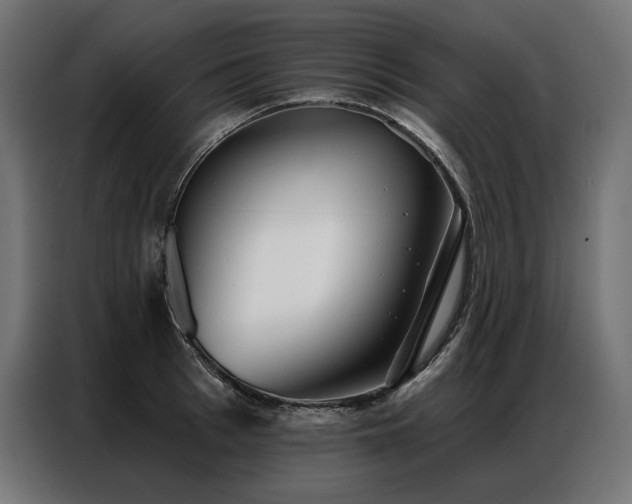 X0000086980993200704161445