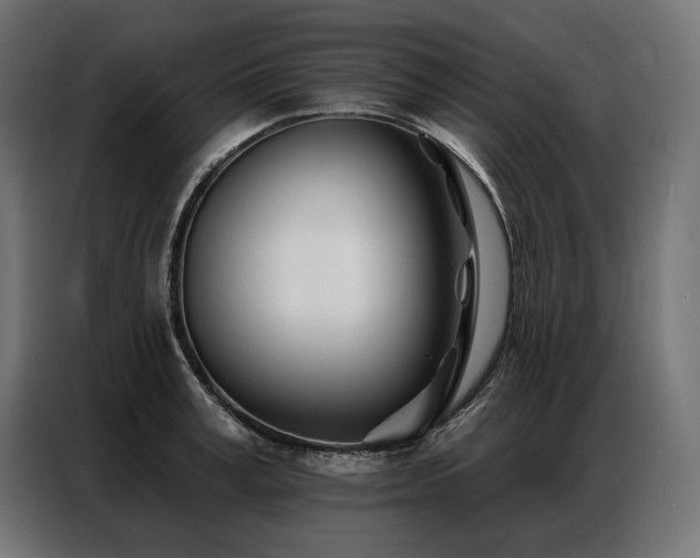 X0000086980995200704161445