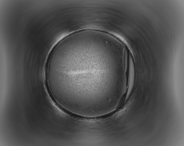 X0000086980999200704161445