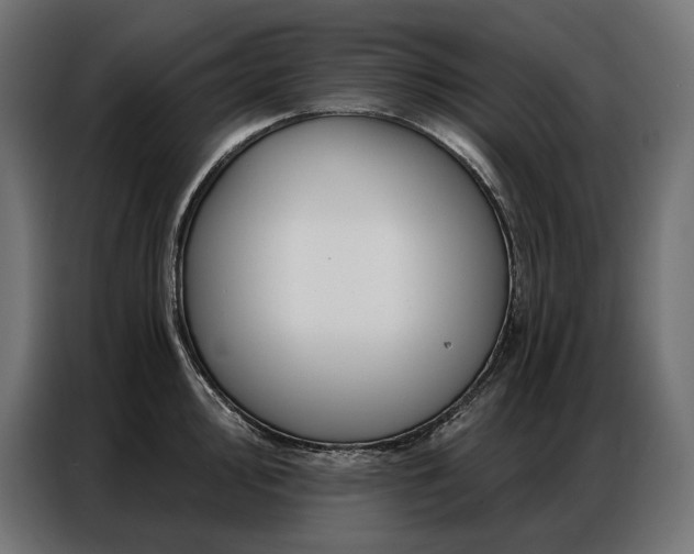 X0000086981000200704161445