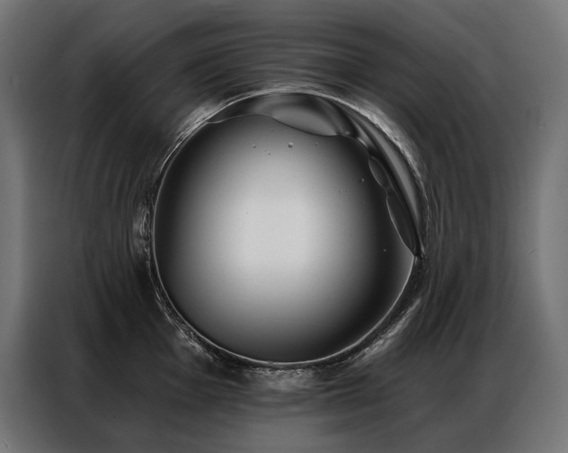 X0000086981001200704161445