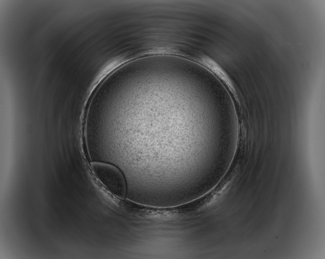 X0000086981002200704161445