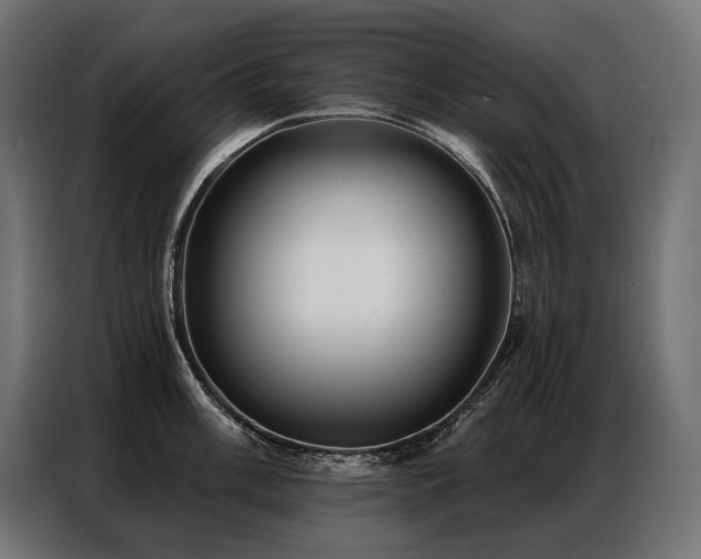 X0000086981003200704161445