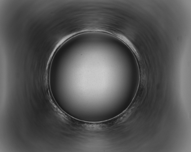 X0000086981004200704161445