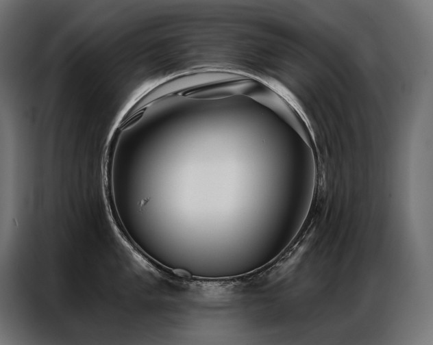X0000086981005200704161445
