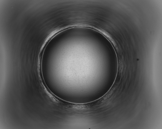 X0000086981006200704161445