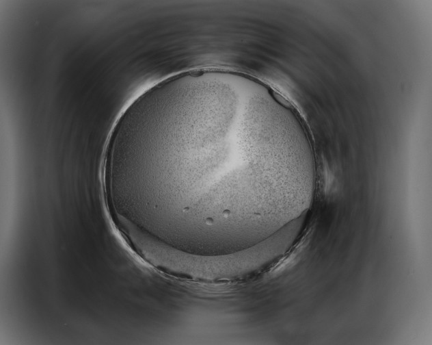 X0000086981007200704161445