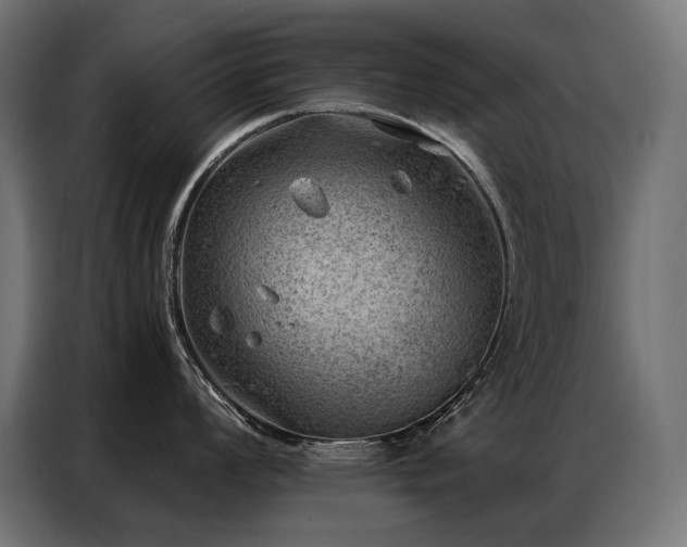 X0000086981008200704161445