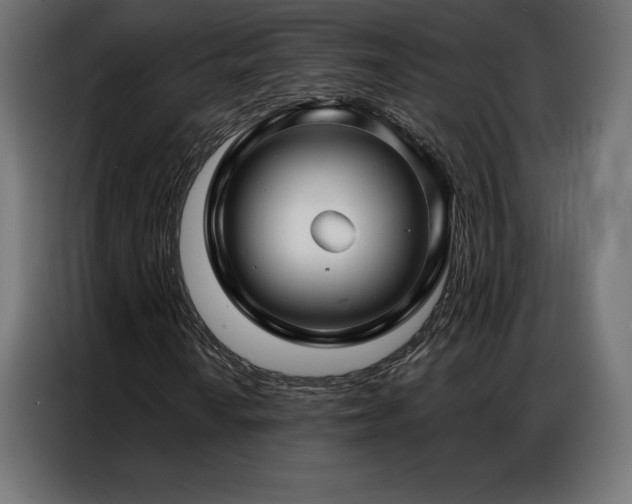 X0000086981010200704161444