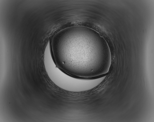 X0000086981012200704161444