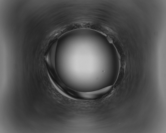 X0000086981014200704161444