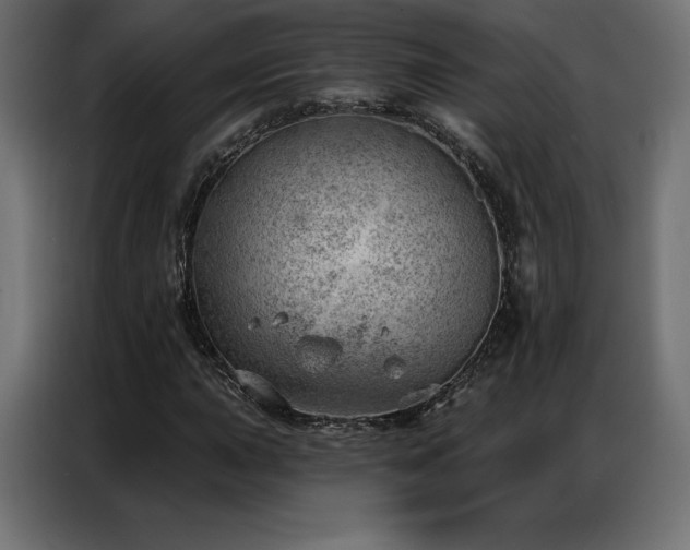 X0000086981015200704161444