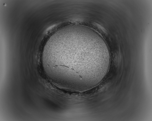 X0000086981016200704161444