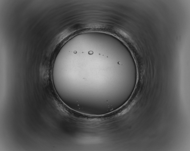 X0000086981017200704161444