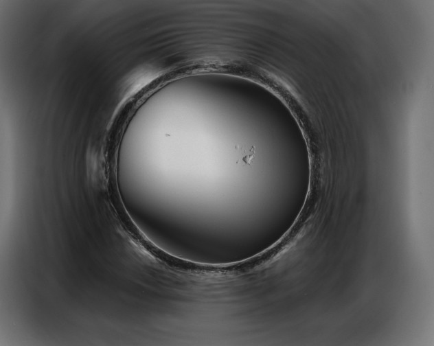 X0000086981018200704161444
