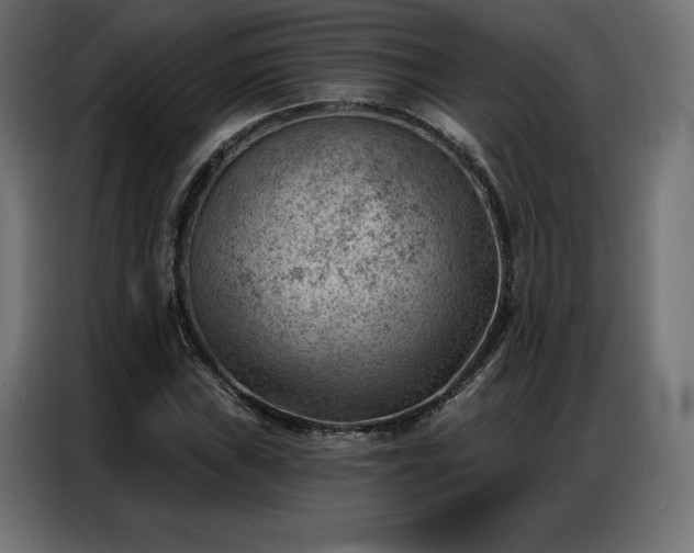 X0000086981019200704161444
