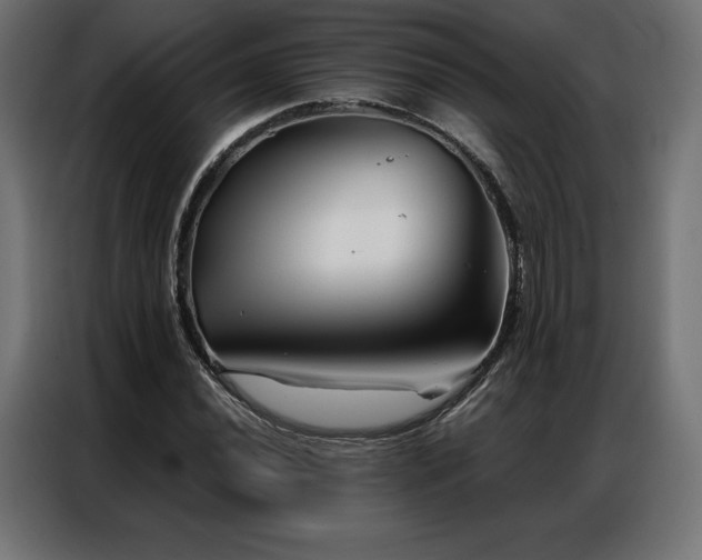 X0000086981020200704161444