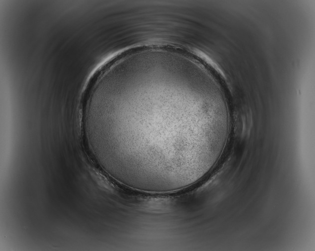 X0000086981021200704161444