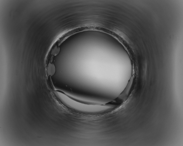 X0000086981022200704161444
