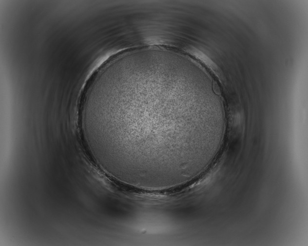 X0000086981023200704161444