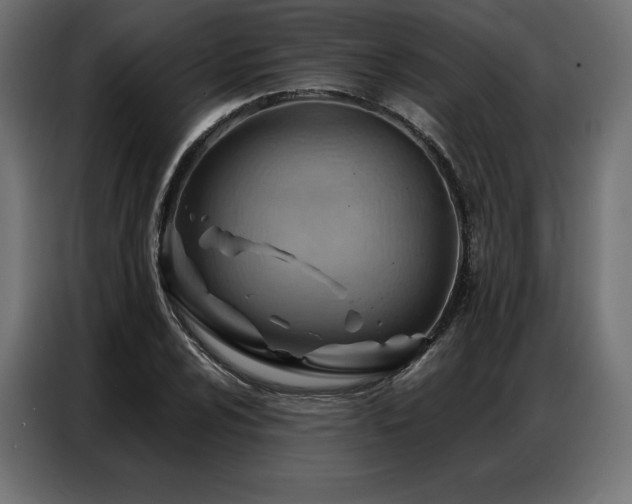 X0000086981024200704161444