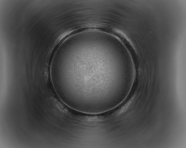 X0000086981025200704161444