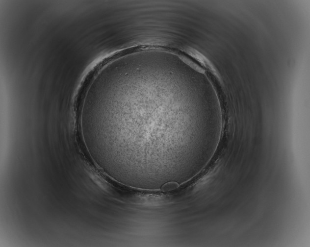 X0000086981027200704161444
