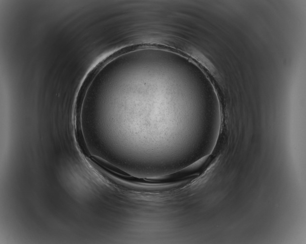 X0000086981028200704161444
