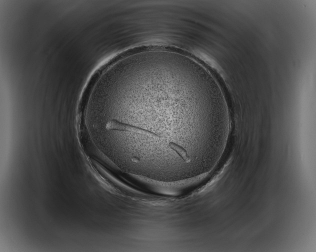 X0000086981029200704161444