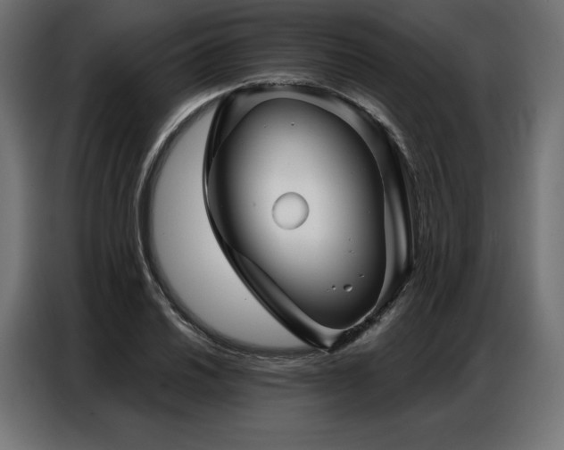 X0000086981030200704161444