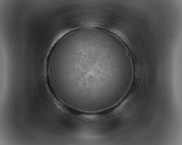 X0000086981031200704161444