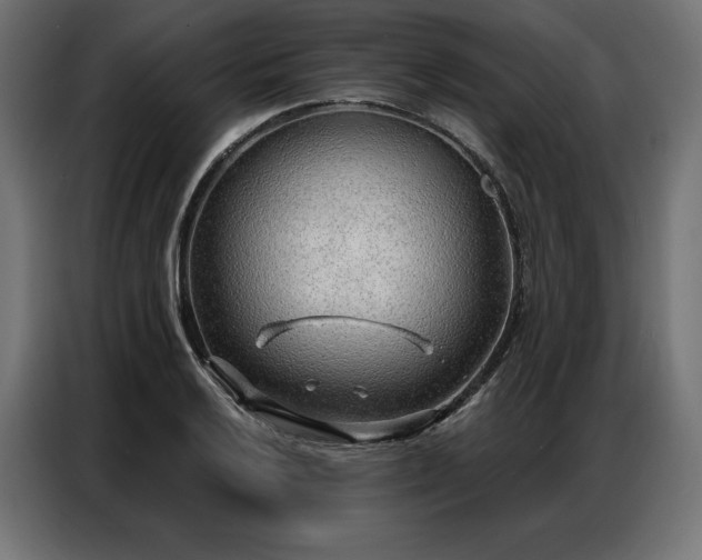 X0000086981032200704161444